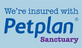 Petplan Sanctuary